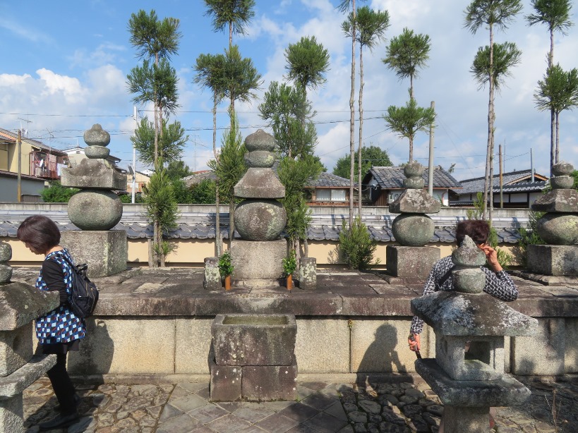 妙心寺 塔頭 退蔵院 池泉回遊式庭園「余香苑」 ひょうたん池